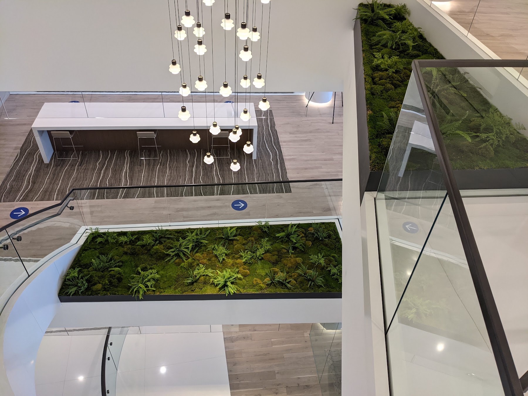 Overhead view of a two-level office atrium with built-in fern and moss planting beds and a pendant light cluster