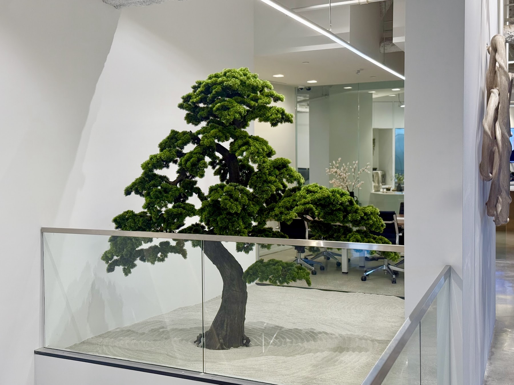 Museum-quality preserved bonsai pine rising from a raked white-gravel zen bed on a glass-railed office mezzanine