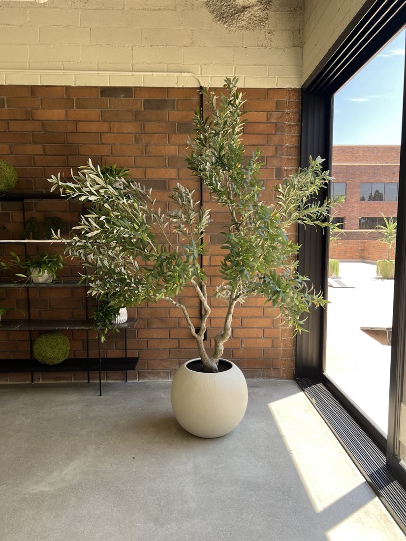 Large handcrafted faux olive tree in a brick showroom, by The Plant Artist