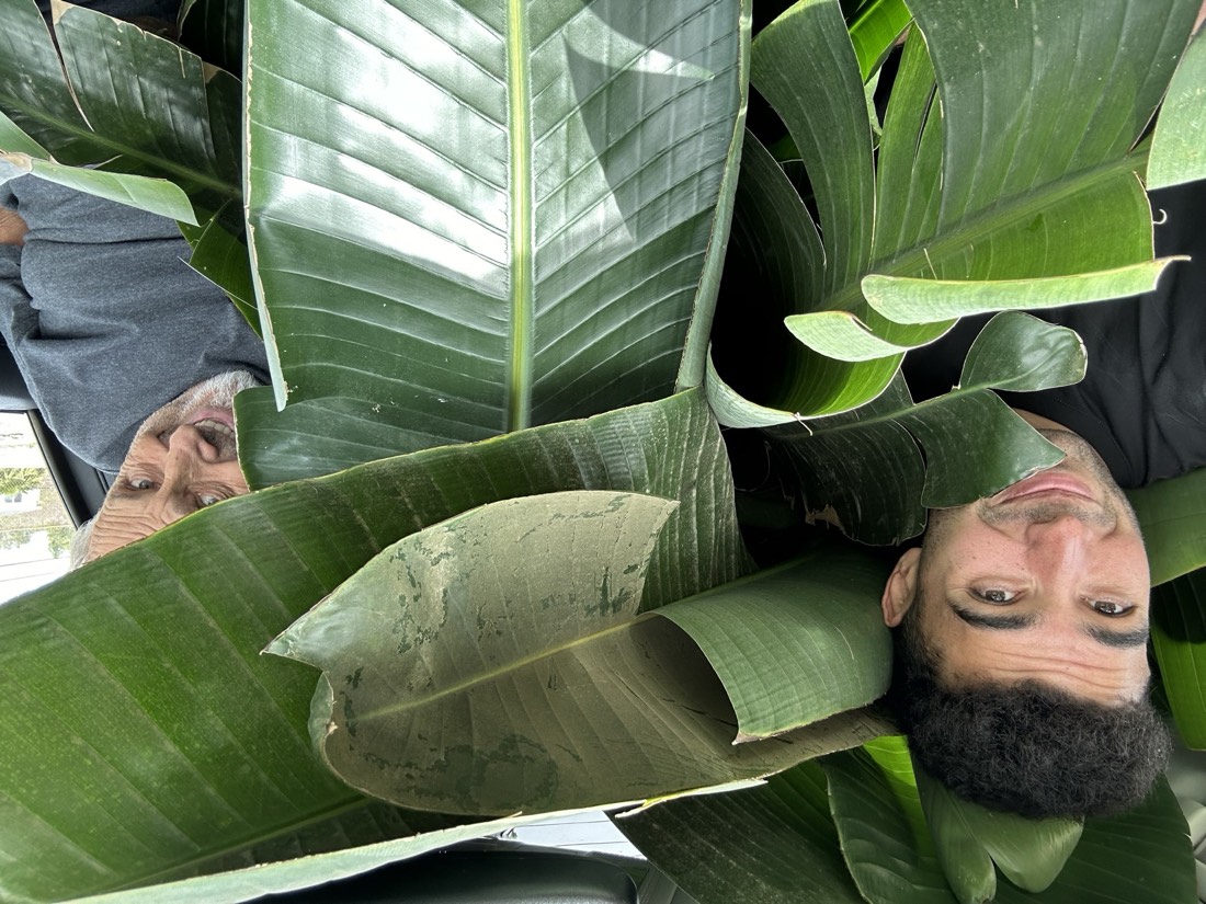Augustin and Luca smiling from a car packed full of bird of paradise leaves