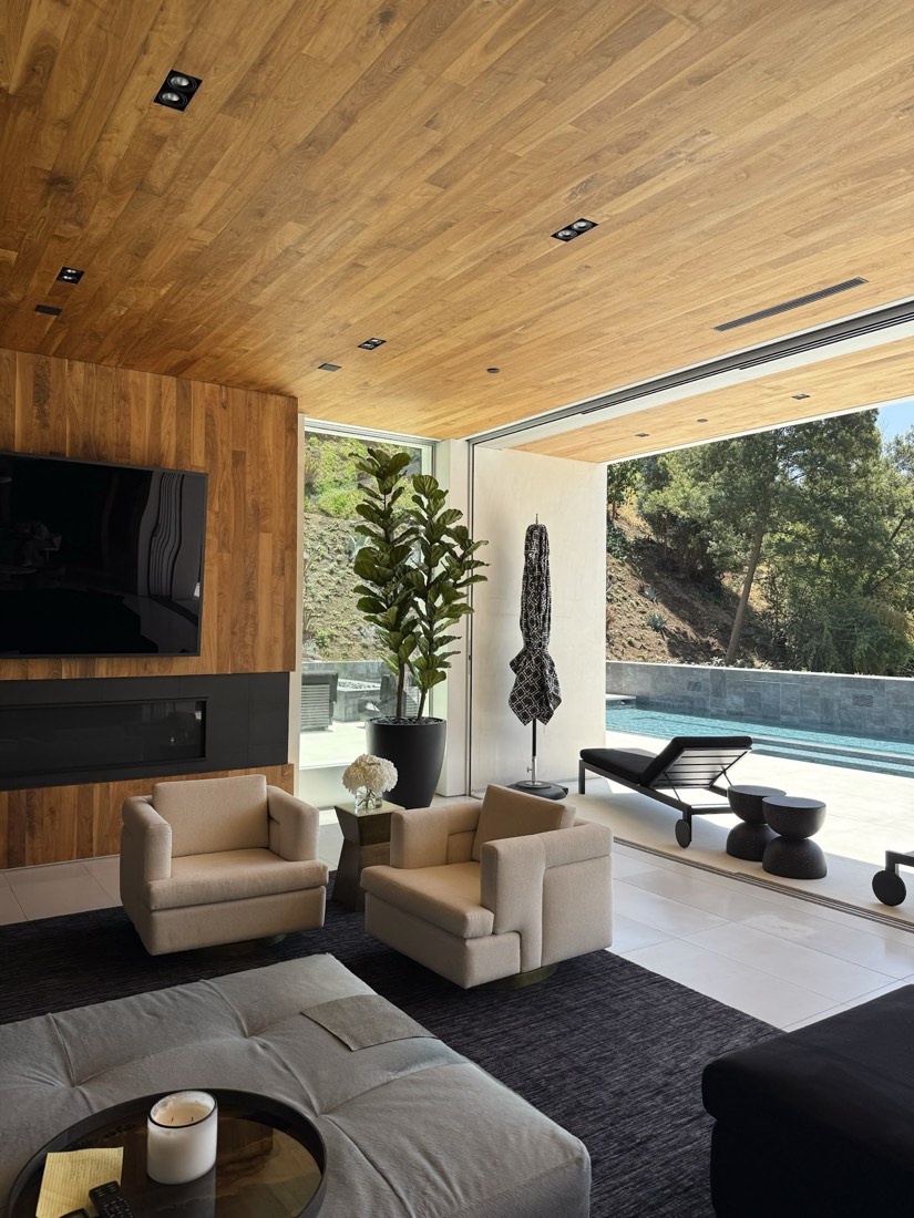 Faux fiddle-leaf fig in a black planter beside a pool-deck doorway in a hillside home with wood ceilings
