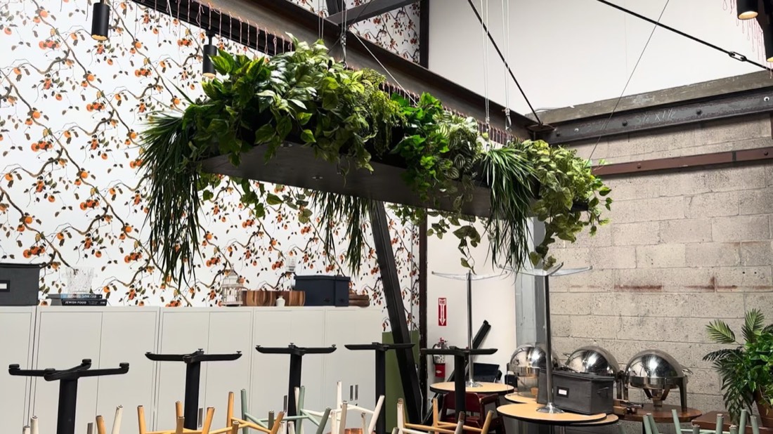 Suspended greenery frame with lighting in a restaurant dining room