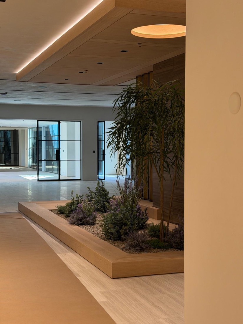 Layered greenery growing from a built-in wood platform planter beneath warm accent lighting