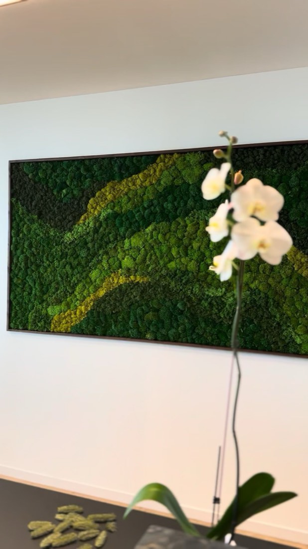 Framed preserved moss art panel with an orchid accent