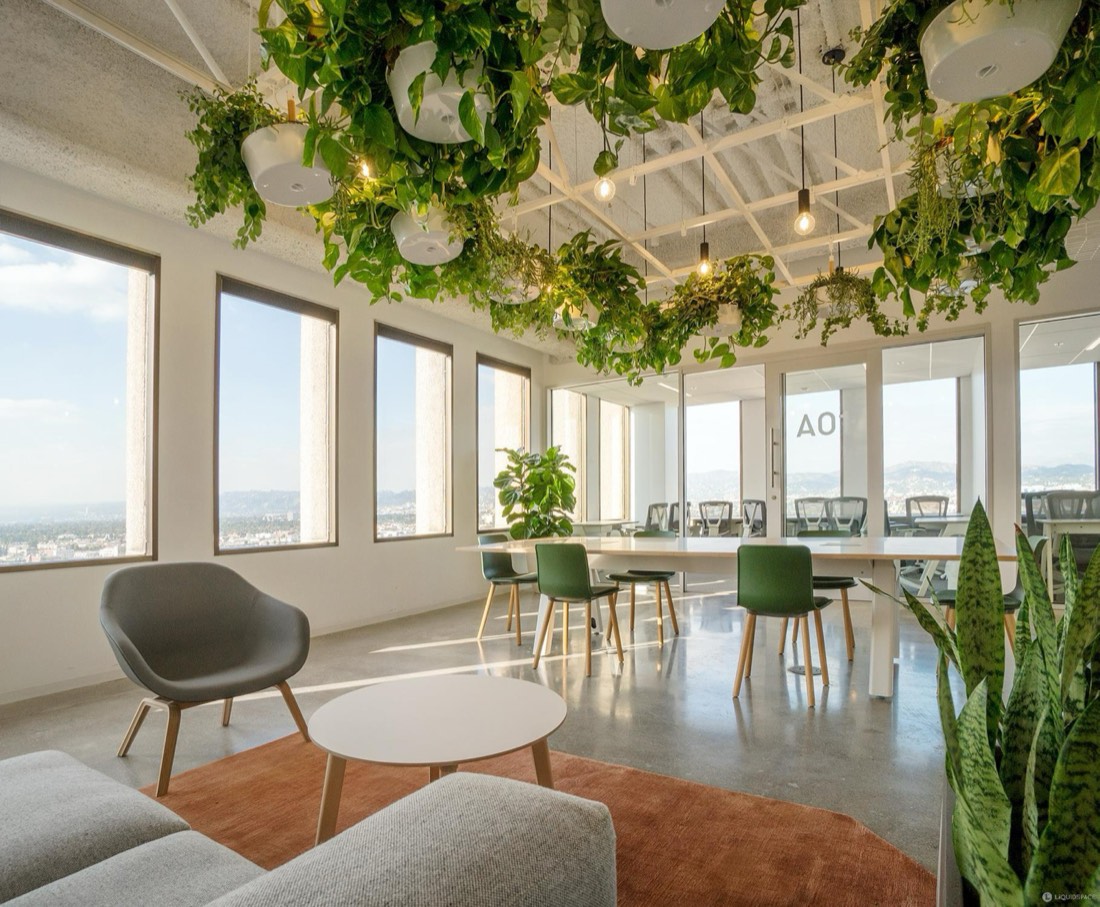 Suspended ceiling planters trailing greenery over a modern office workspace