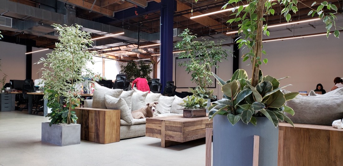 Loft office with wood planter dividers between lounge areas