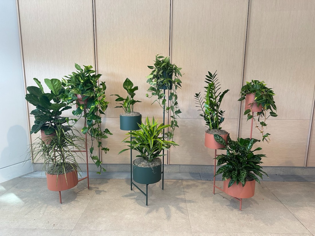 Tiered standing planters filled with lush greenery in a modern office