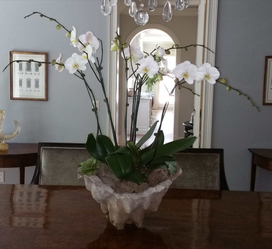 White orchid arrangement in a shell container on a Los Angeles dining table