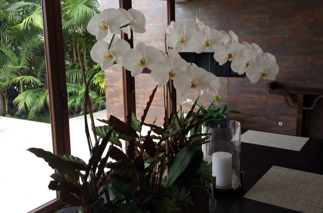 White orchid arrangement in a low container on an entry table