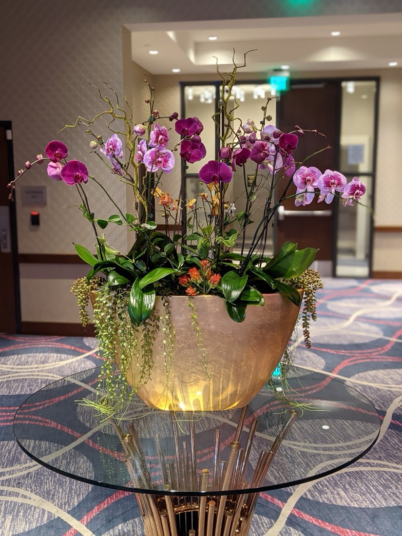 Purple and pink phalaenopsis orchid arrangement in a gold bowl on a glass table