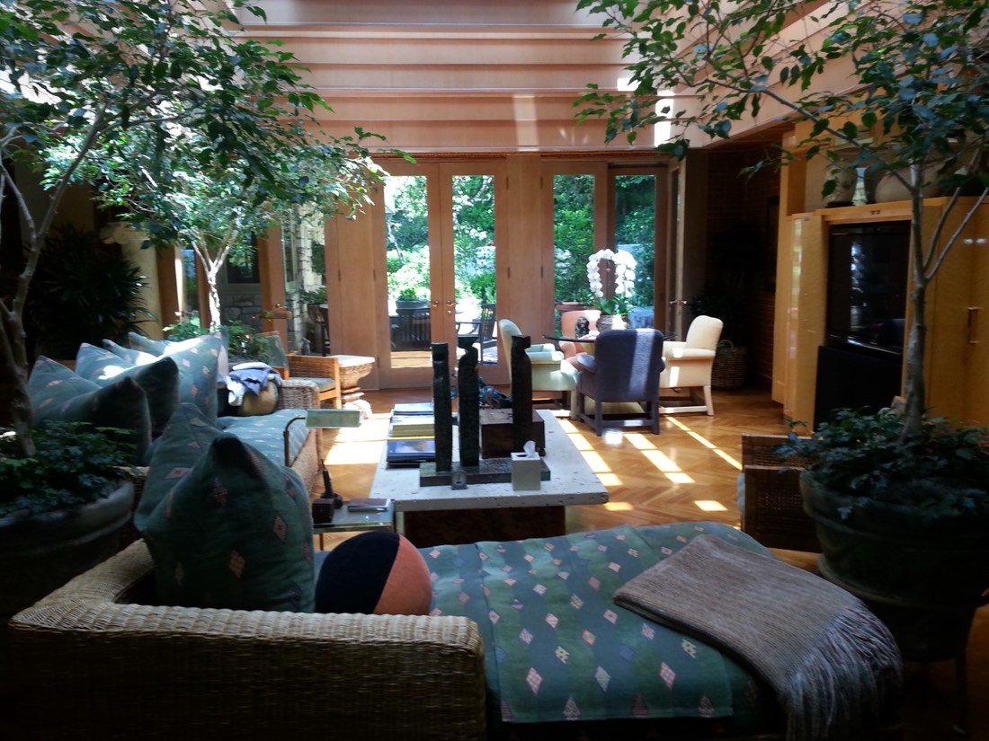 Indoor trees installed by Area Indoor Plants in a wood-paneled Los Angeles great room