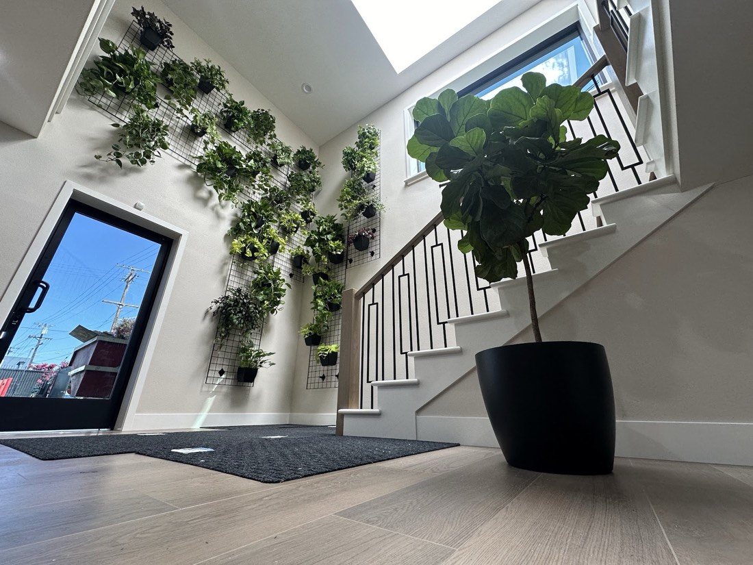 Climbing vines trained up a wide trellis wall in a bright, daylit stairwell