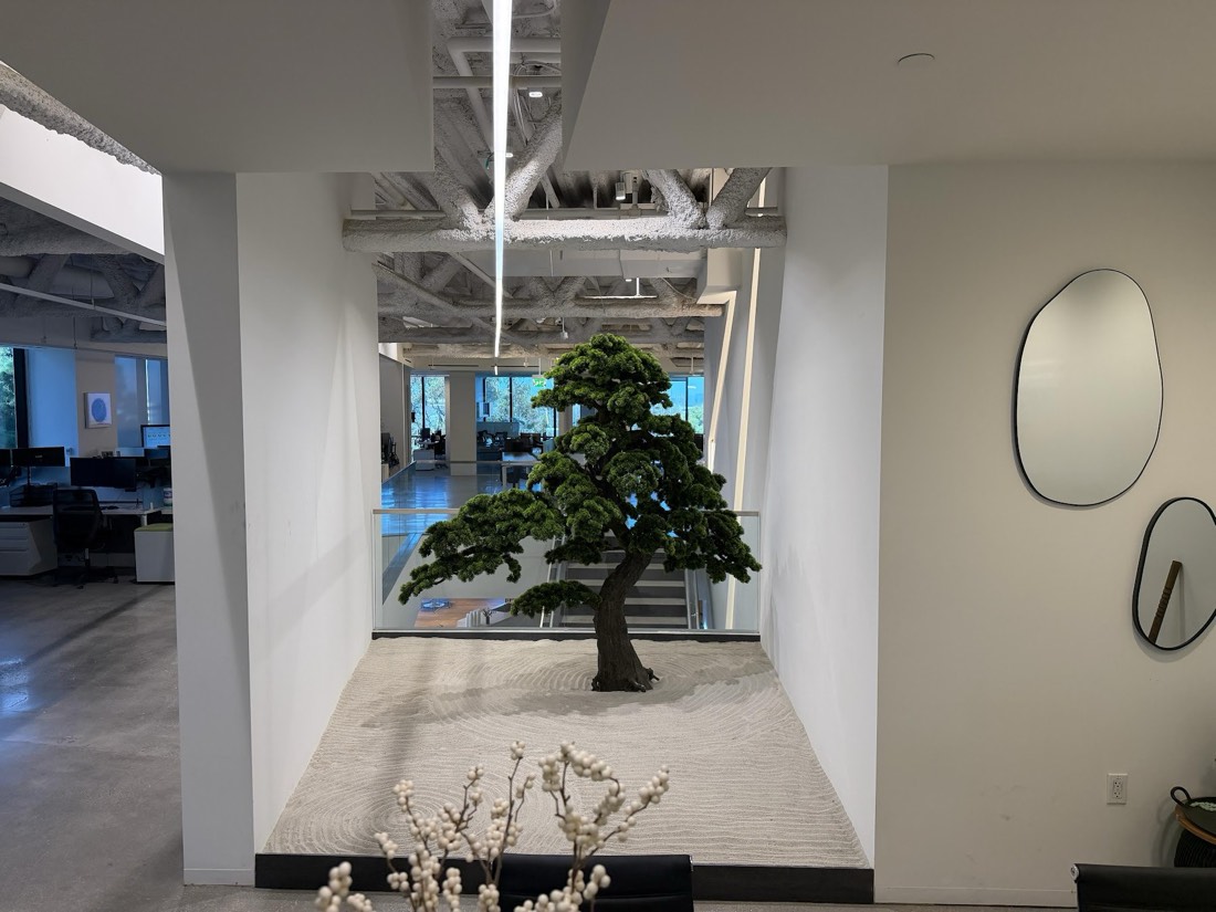 Preserved bonsai displayed in an alcove of raked zen sand