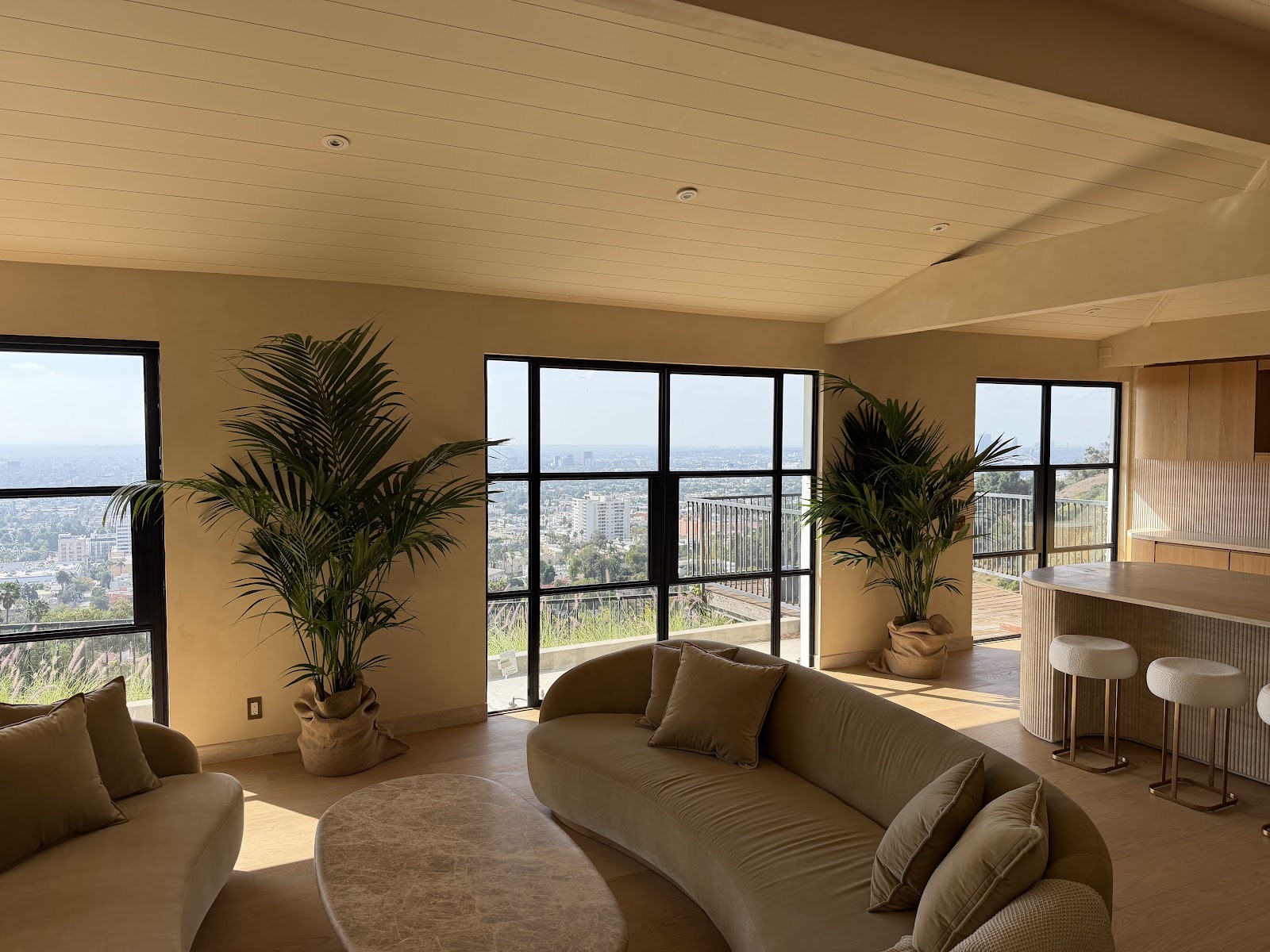 Kentia palms framing a hillside living room view of Los Angeles at dusk
